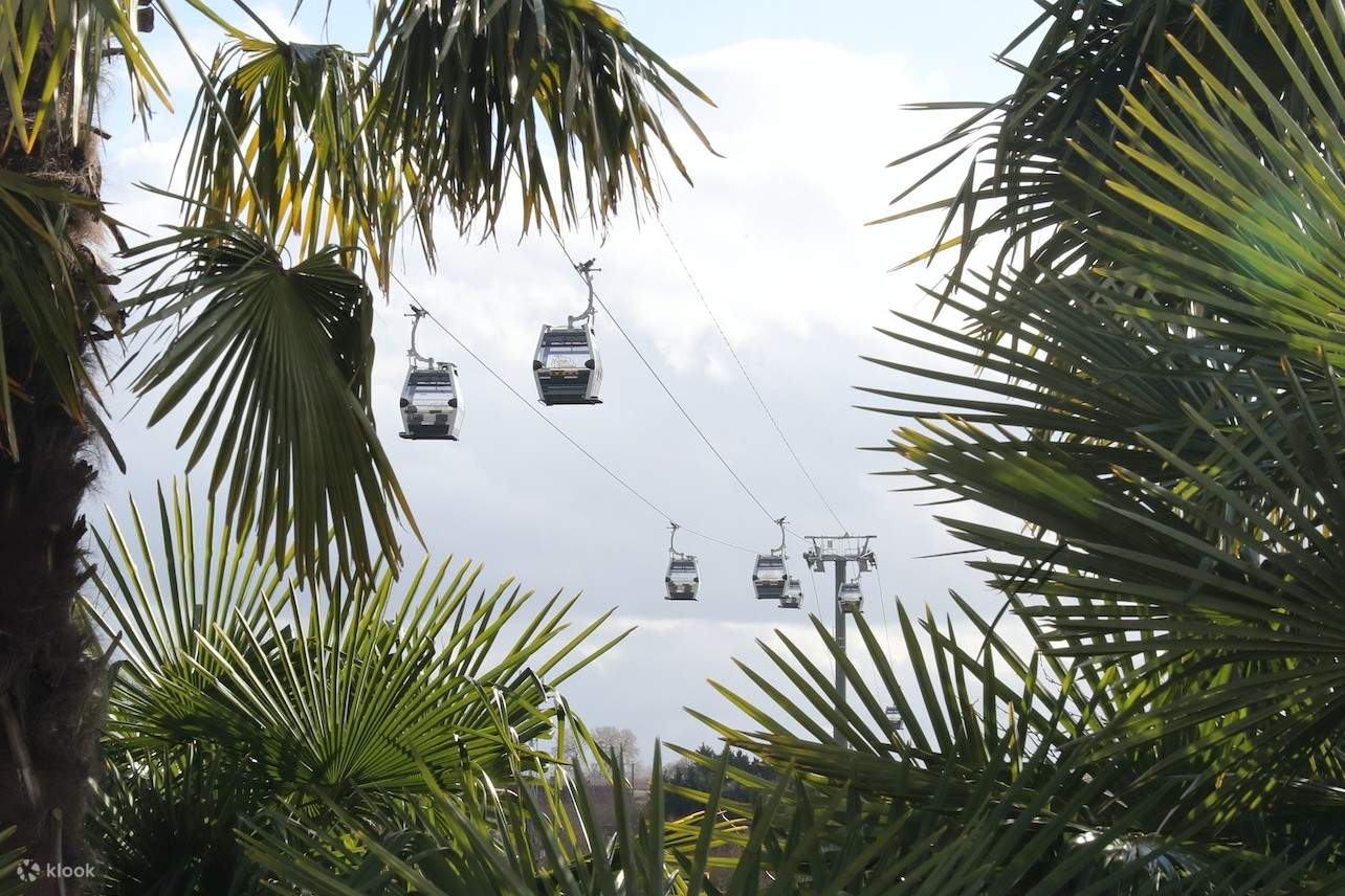 주파르크 드 보발 케이블카 탑승