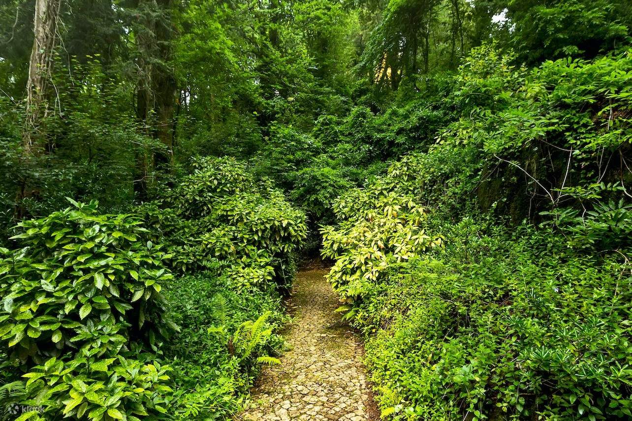 เส้นทางเดินในสวนสาธารณะ