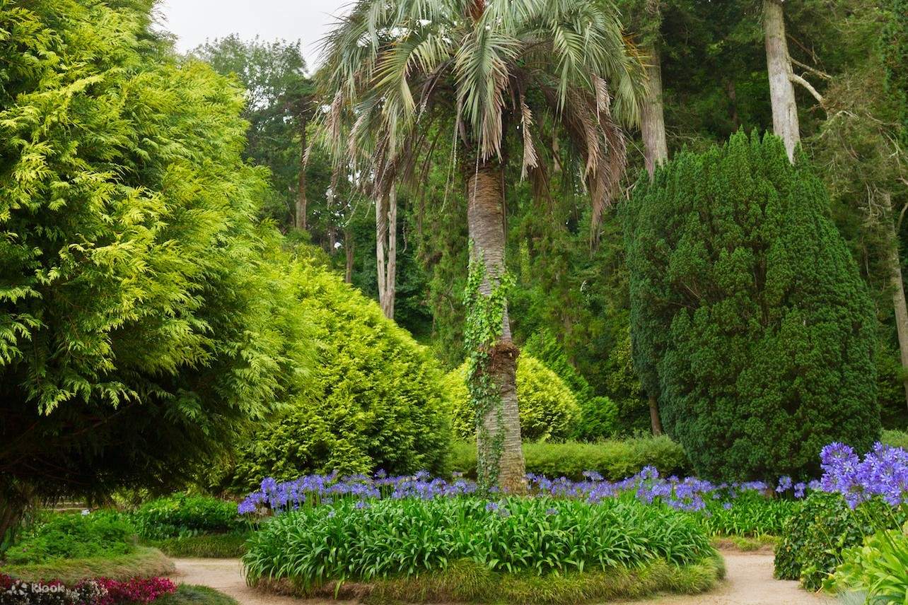 ต้นไม้และพืชพรรณนานาชนิด