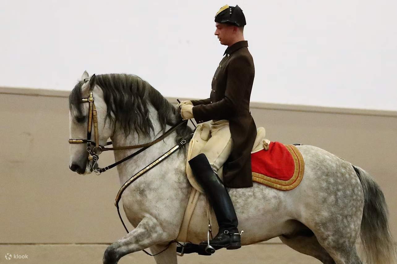 维也纳西班牙马术学校利比扎纳表演门票- Klook客路, image size:1284x856