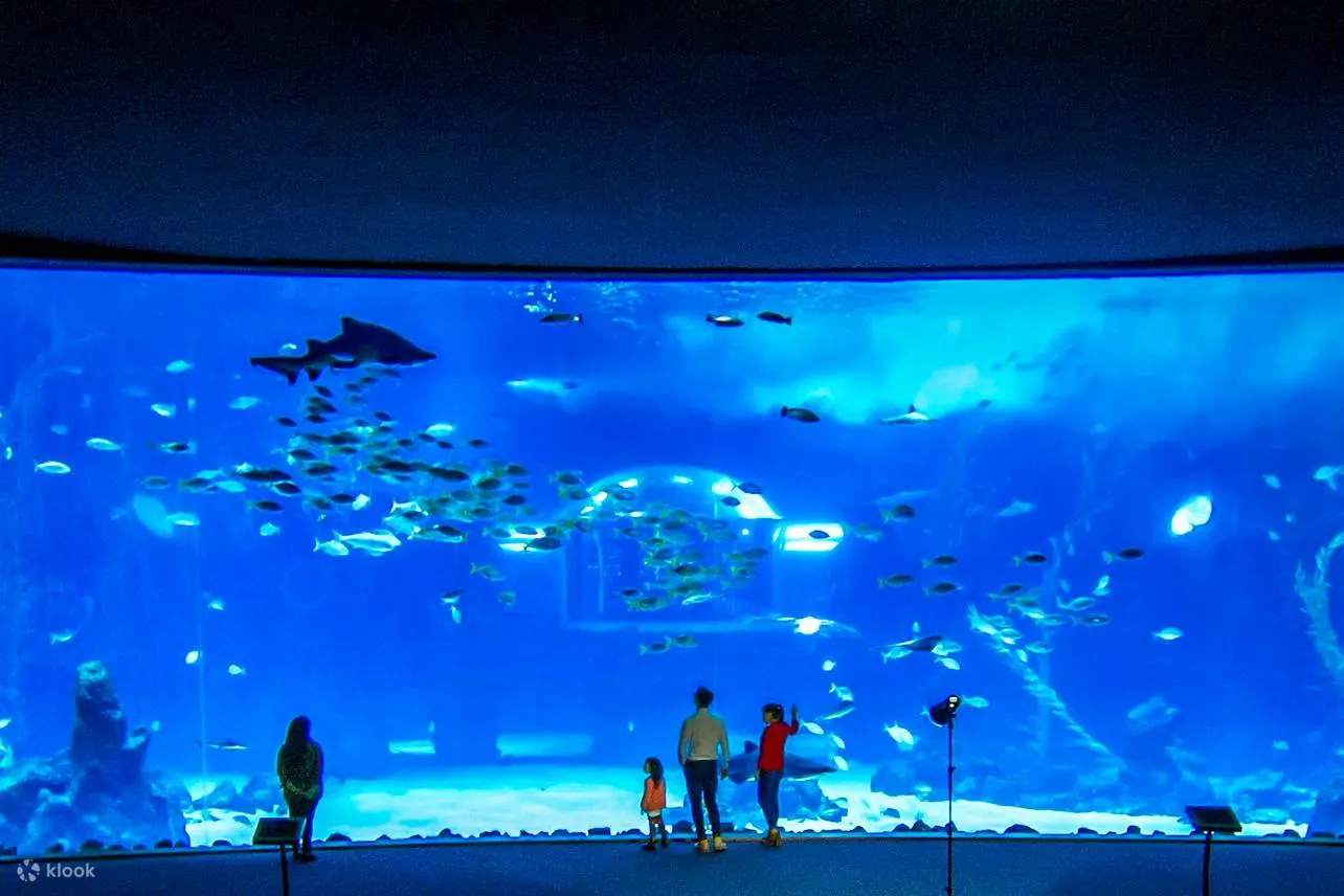Poema del Mar 水族馆景观