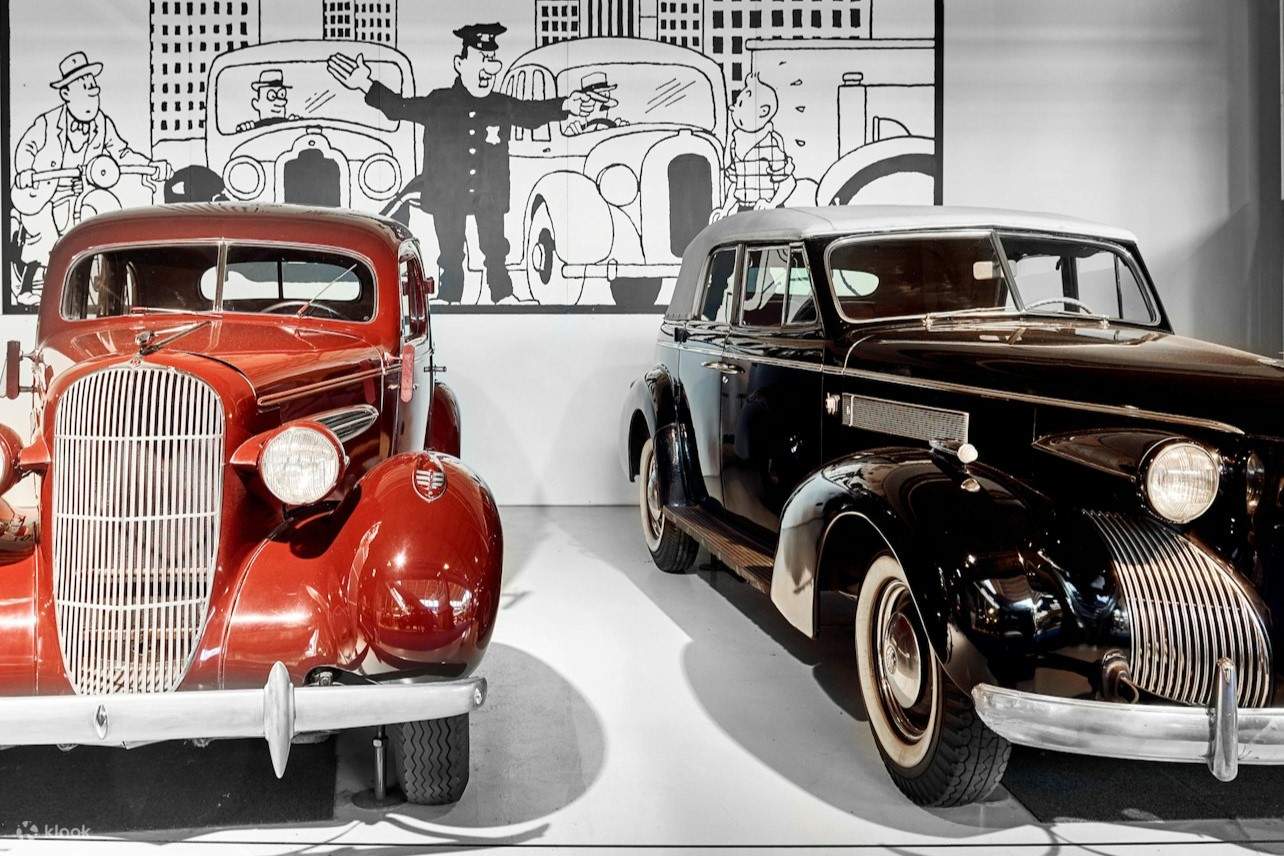 exposición de coches