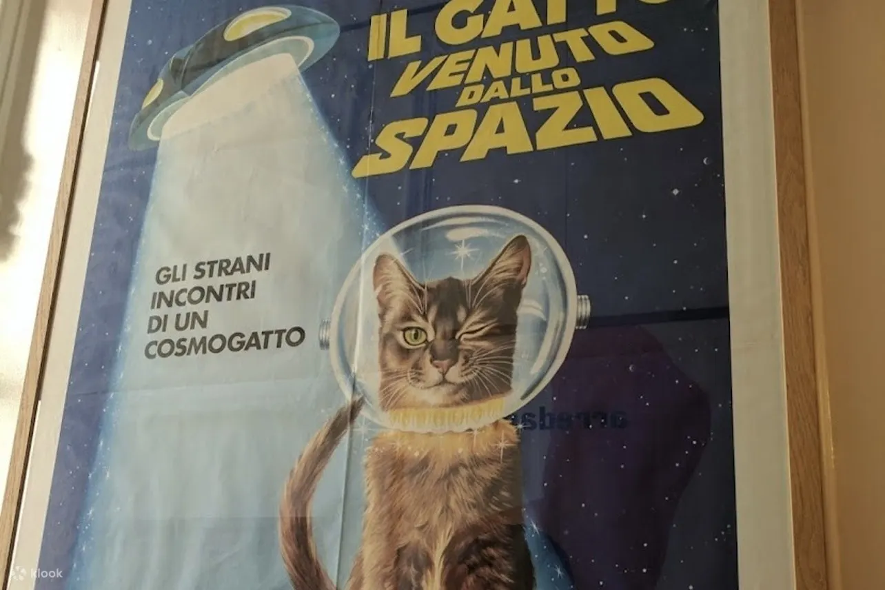 猫柜海报