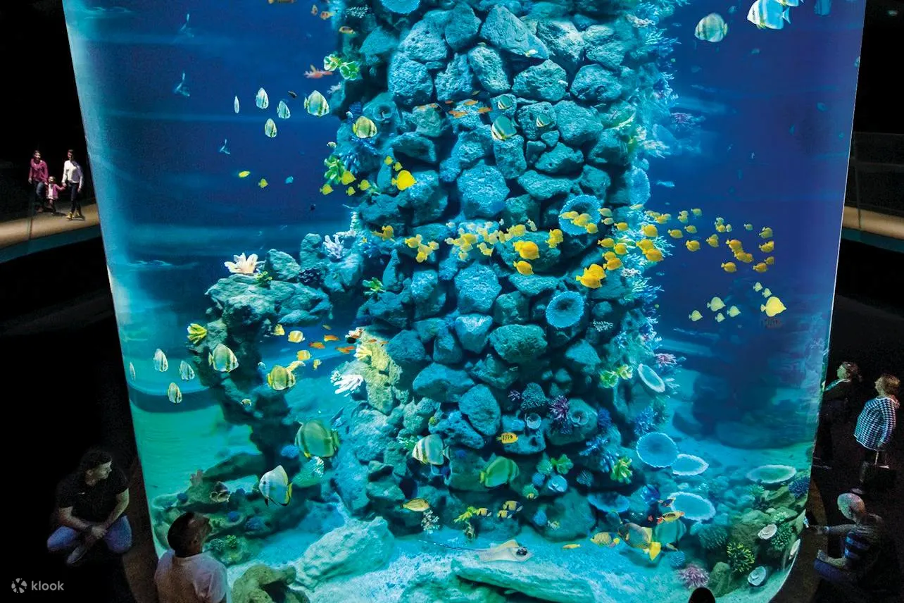 水族馆