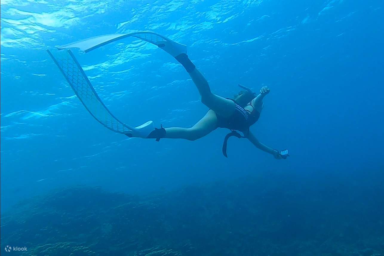 潛入關島的水下美景