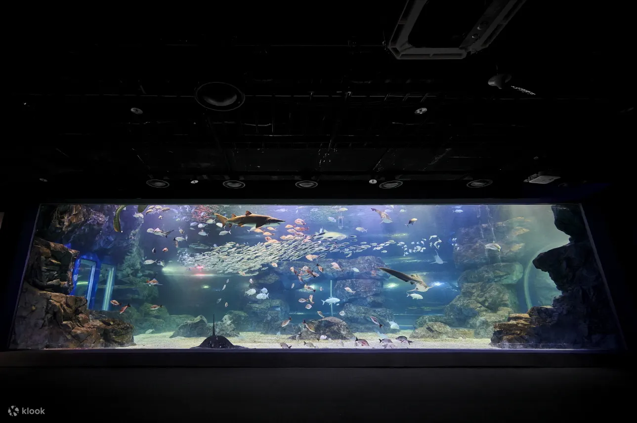 水族馆