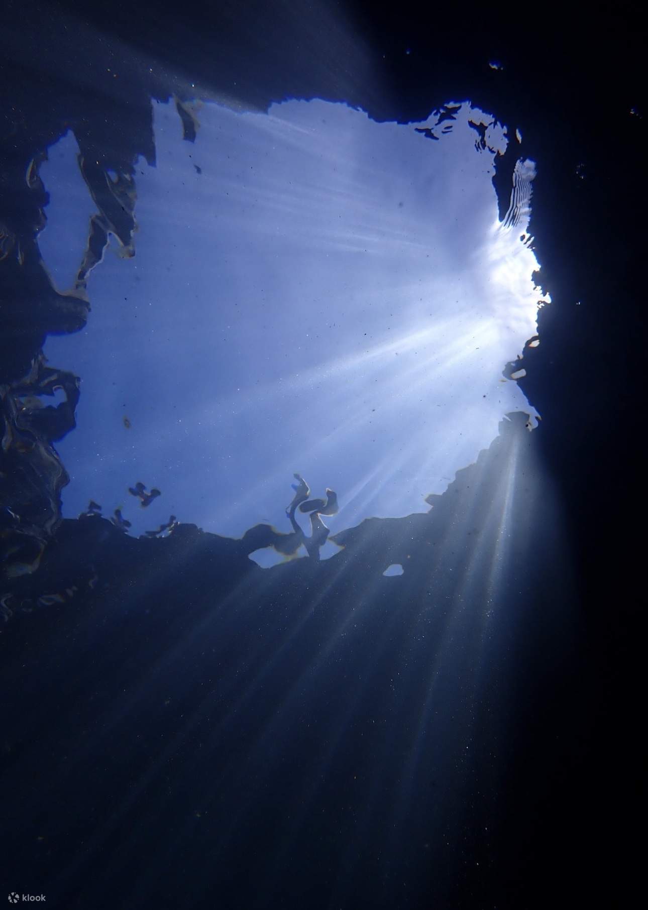 眠れる森の美女古道＋仙人疊石 シュノーケリングツアー