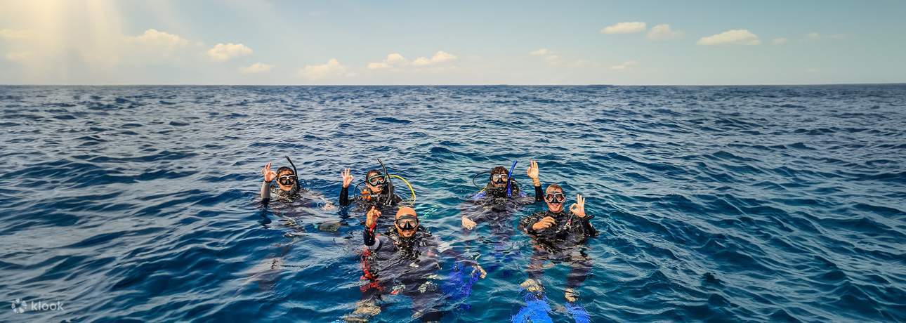 Pengalaman Scuba Diving di Jeddah