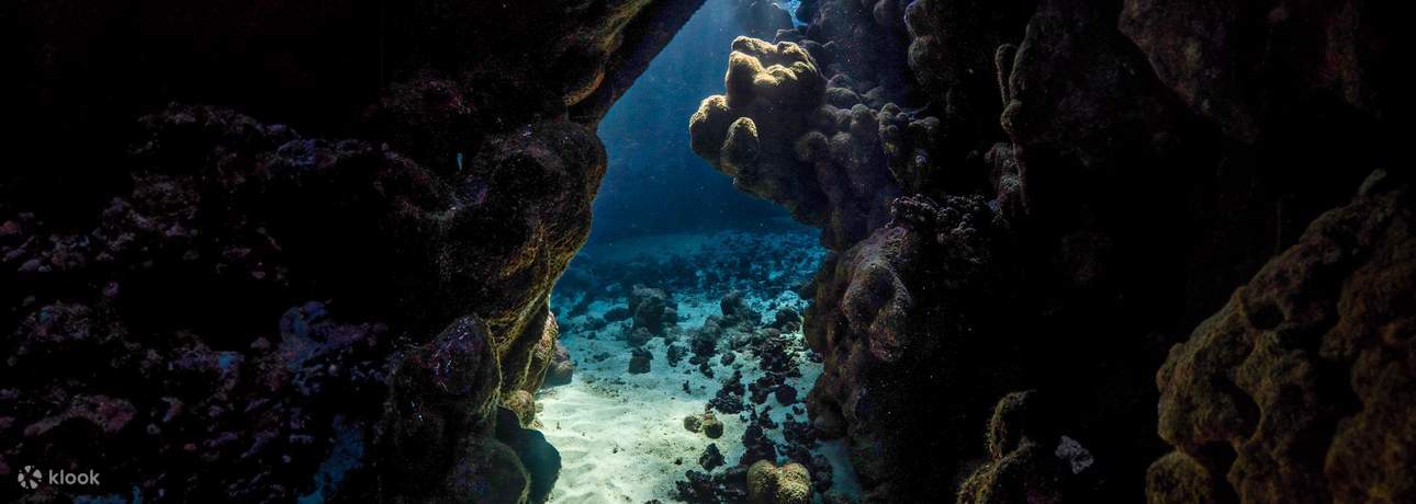 Experiencia de buceo en Jeddah