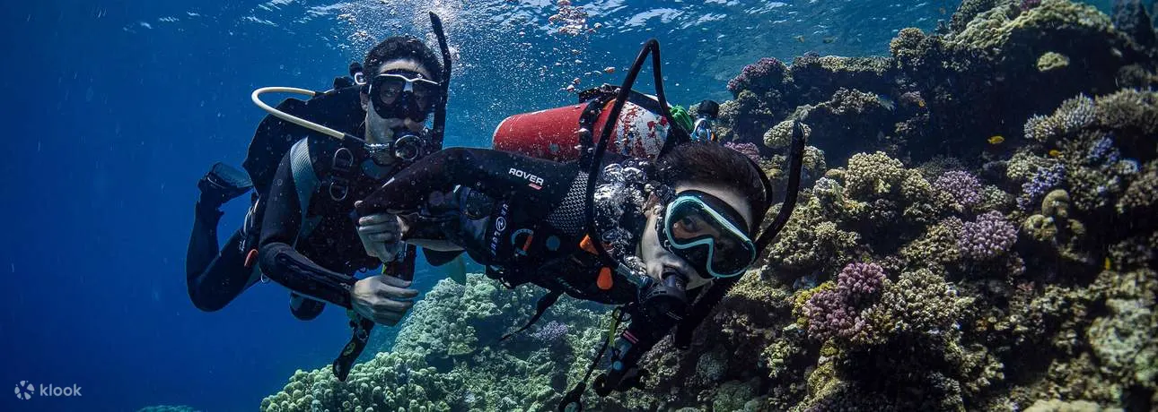 吉达水肺潜水体验