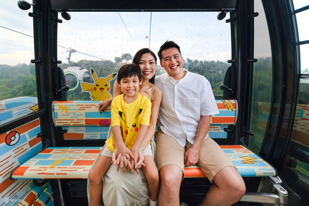 新加坡空中纜車 SkyPass