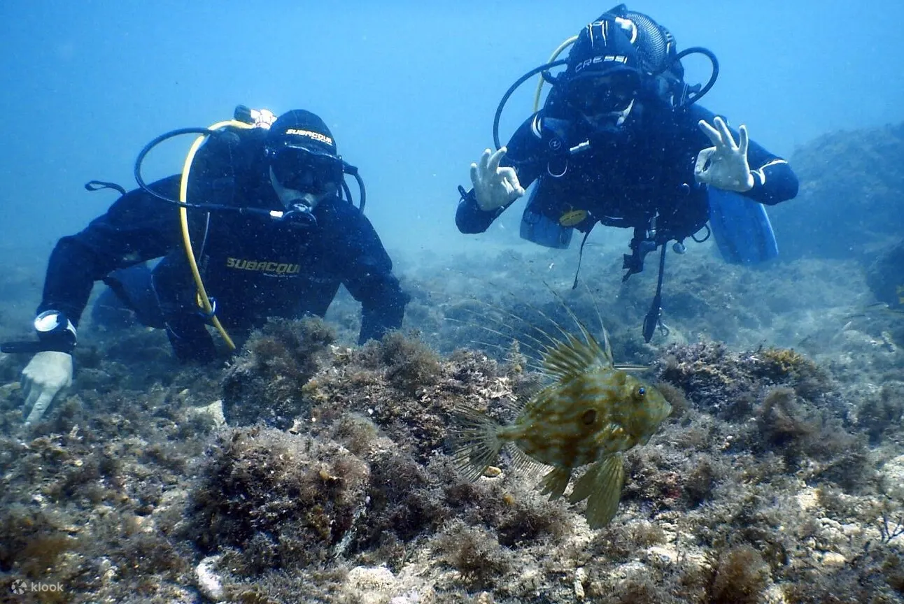PADI 体验水肺潜水