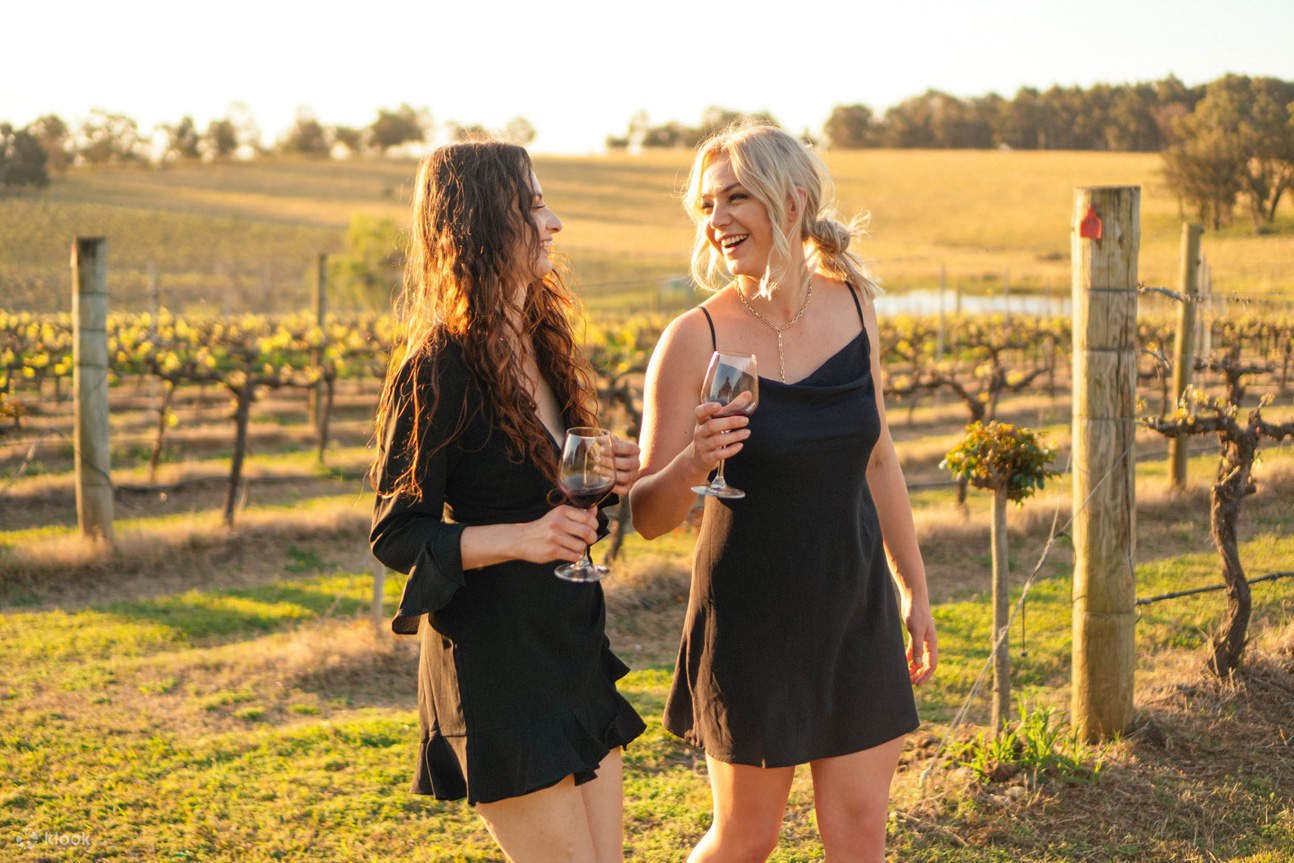 Iron Gate Estate Wine Tasting Experience in the Hunter Valley Klook