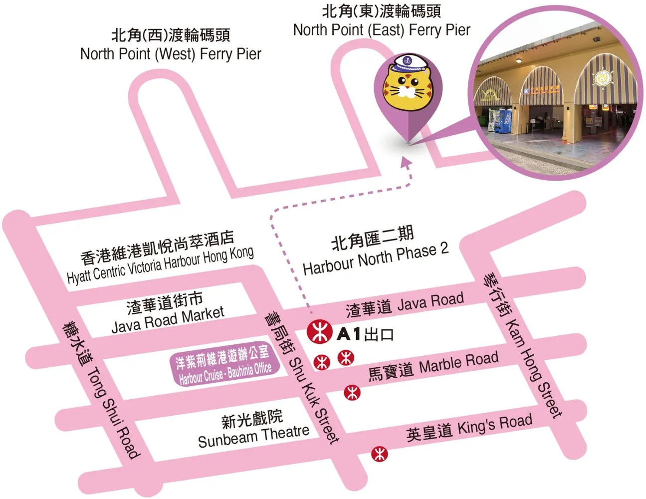 洋紫荊維港遊