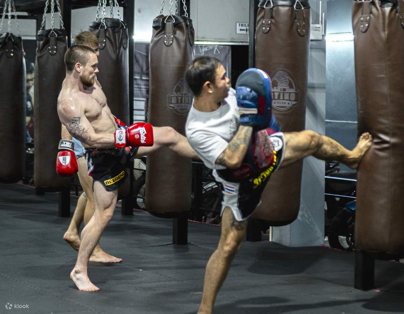 Chiang Mai Muay Thai Boxing Introduction Class for Beginners