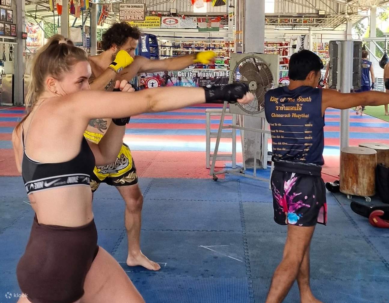 Koh Pha Ngan: Lớp học giới thiệu về Muay Thái cho người mới bắt đầu
