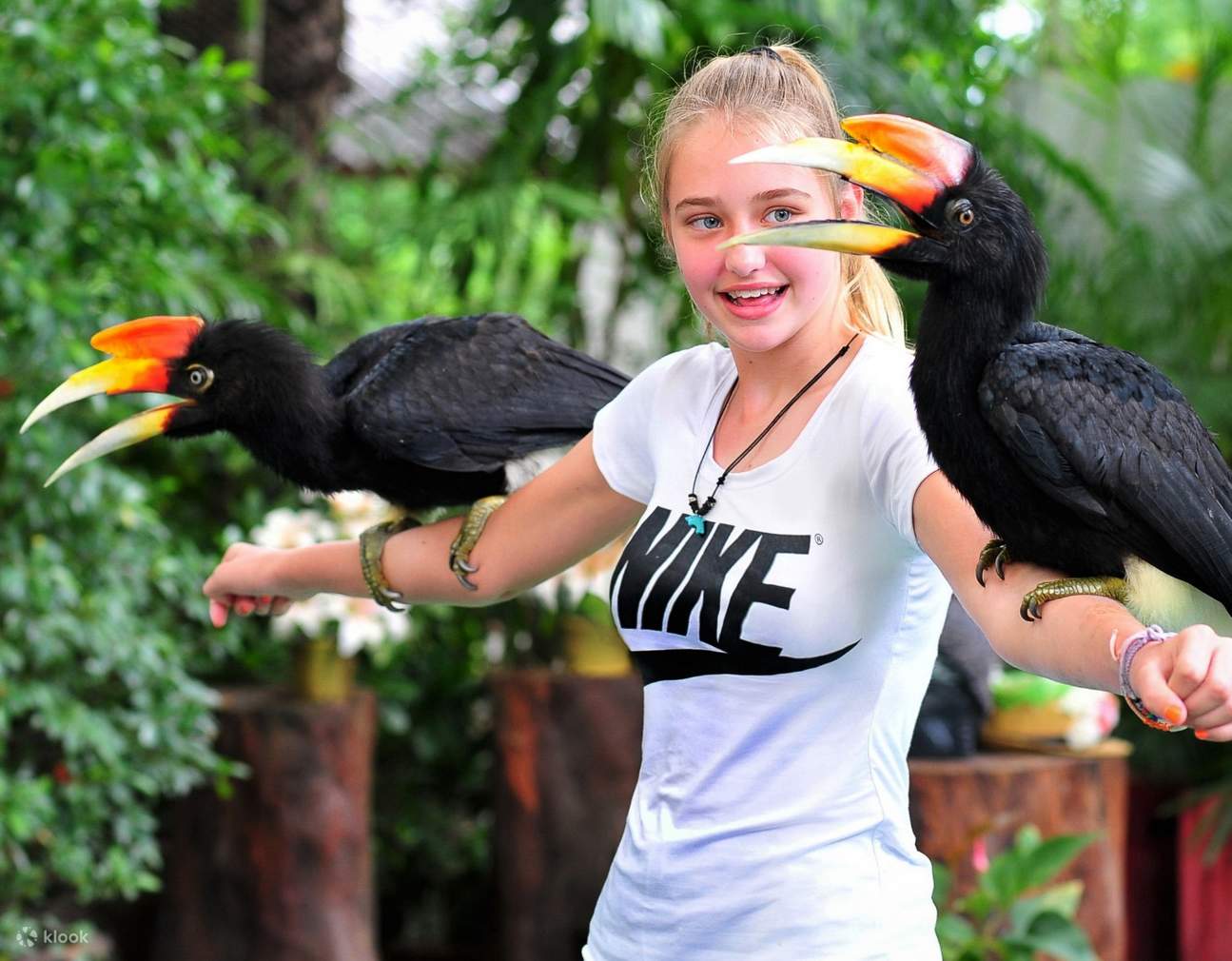 hornbill Phuket Bird Park