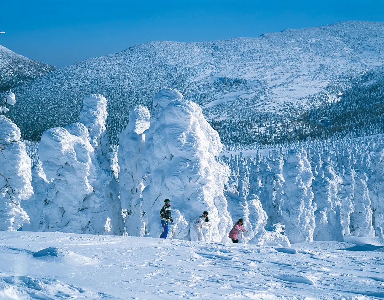 2d1n Snow Monster Trees Snowcat Tour From Sendai Klook 客路