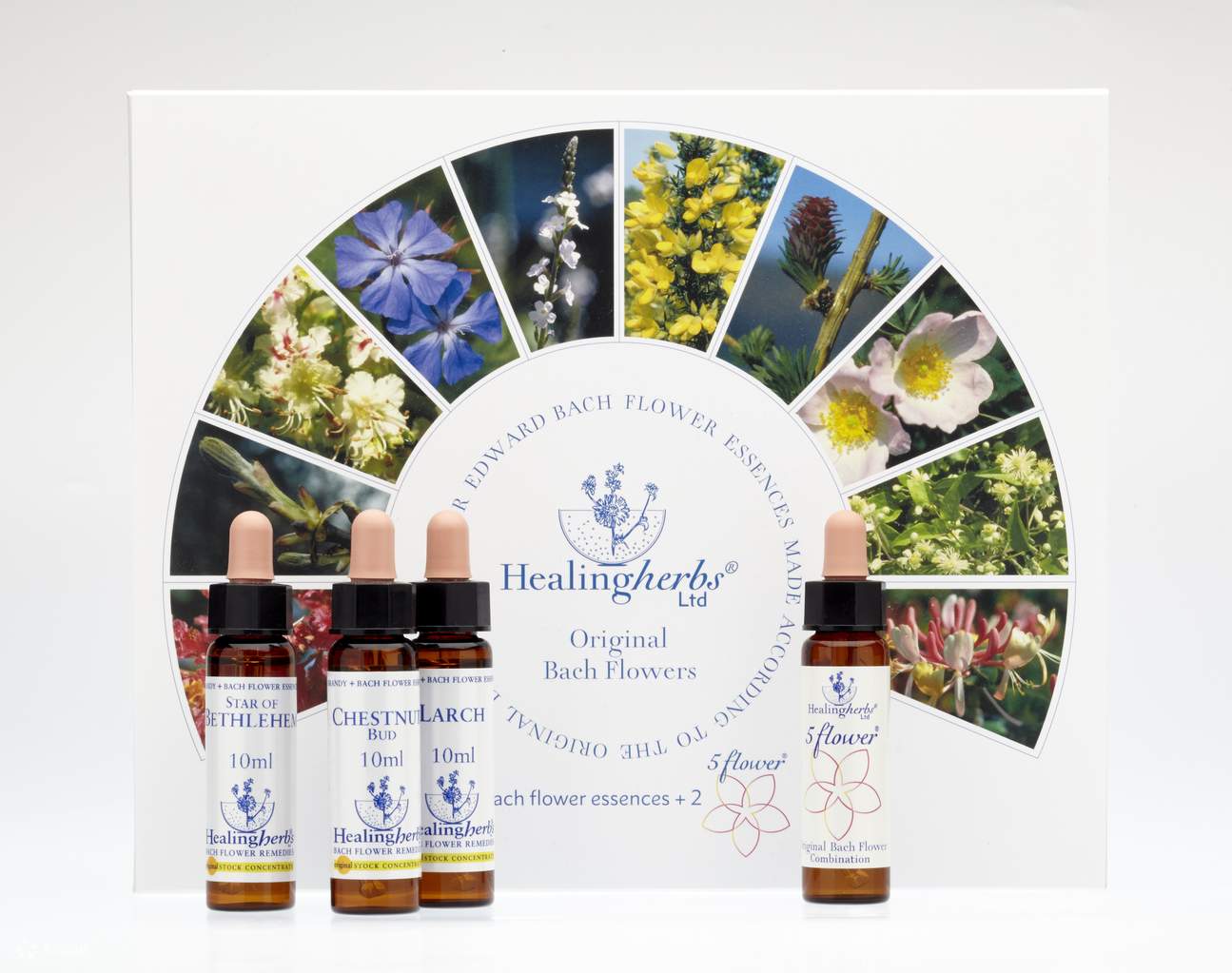 バッチフラワーエッセンス カウンセリング体験（Bach Flower Remedies 