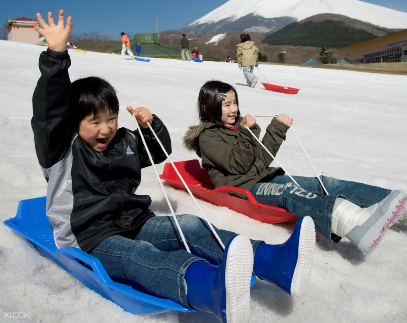 Grinpa森林遊樂園、笹一日本酒造、相模湖畔霓虹燈秀一日遊 新宿出發