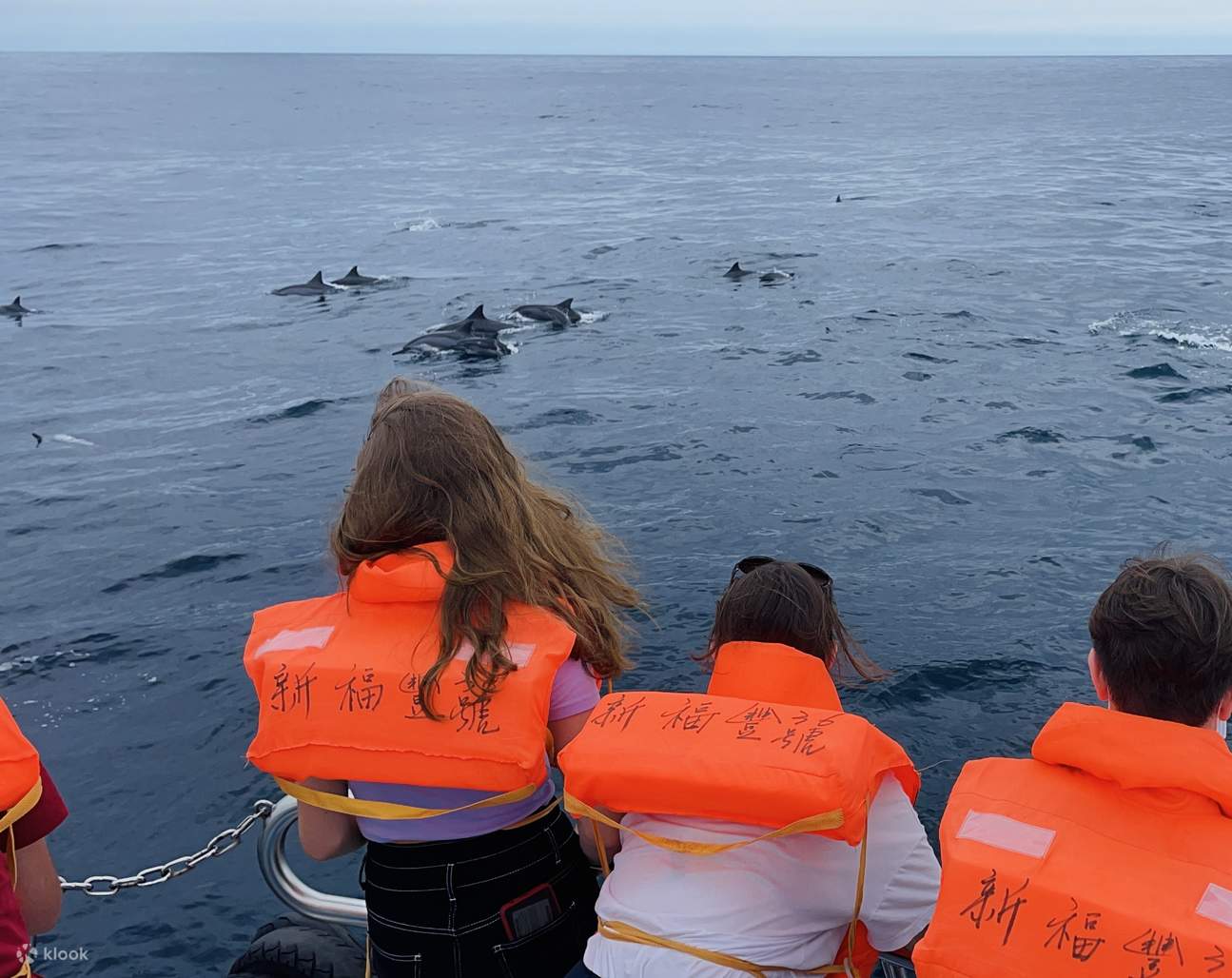 Yilan: Guishan Island Landing & Whale and Dolphin Watching & Around the Island Milk Sea