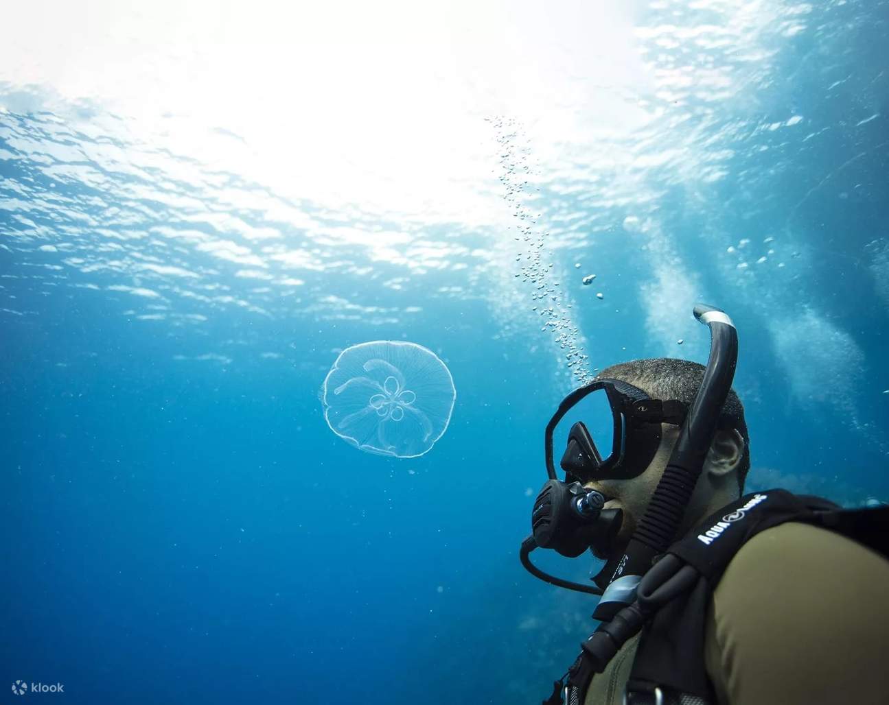 Immergiti nell'emozione dei tuoi primi respiri sott'acqua durante la nostra sessione Discover Scuba Diving nelle azzurre acque di Barcellona.
