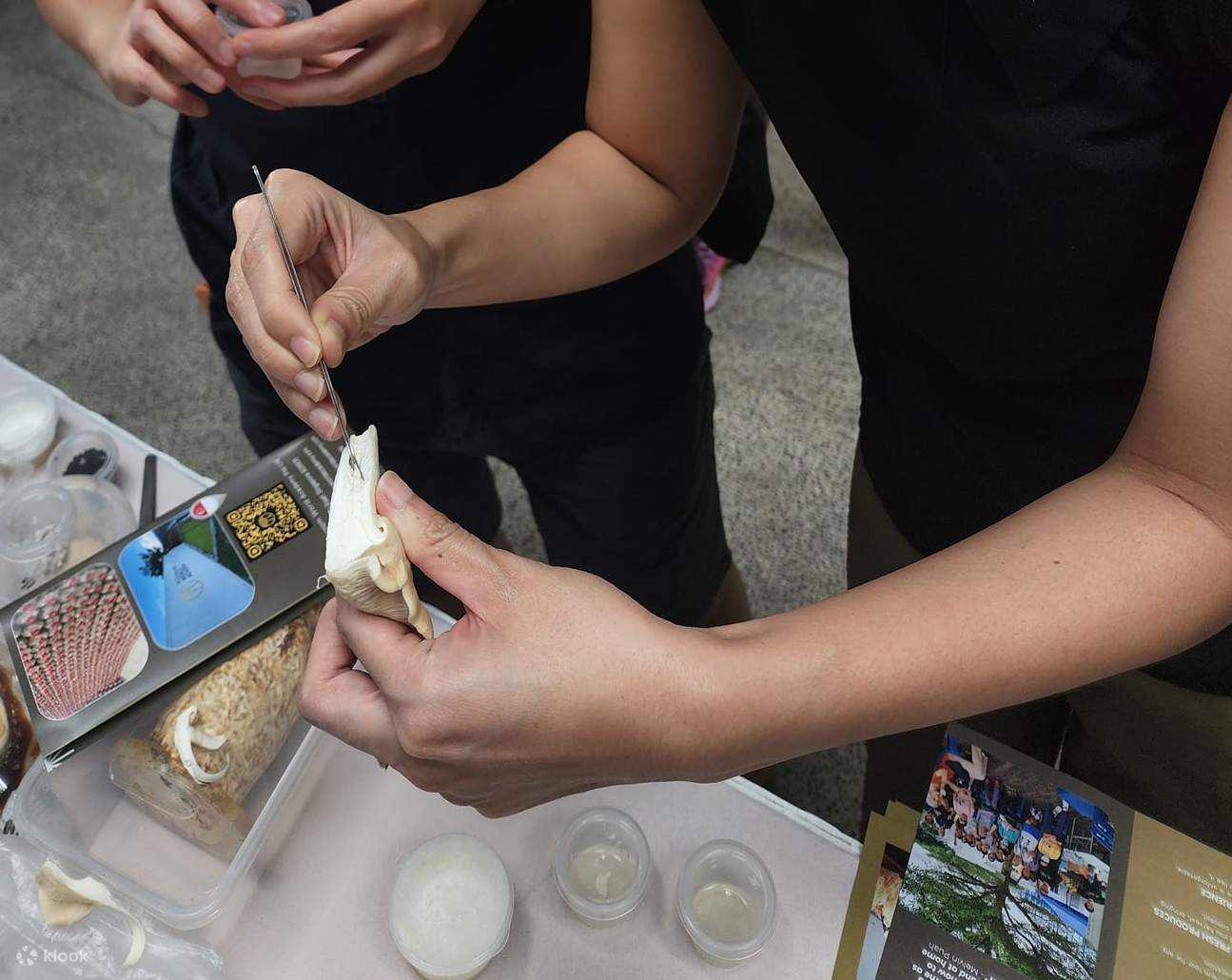 프라이빗 버섯 농장 체험