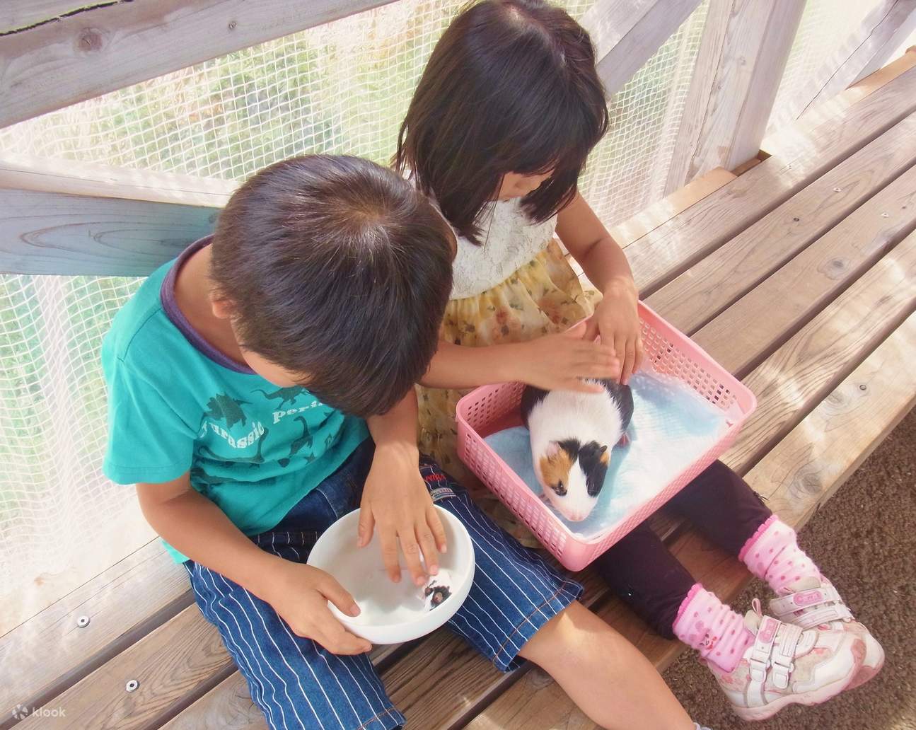 よこはま動物園ズーラシア チケットの予約 Klook よこはま動物園ズーラシア チケットの予約 Klook