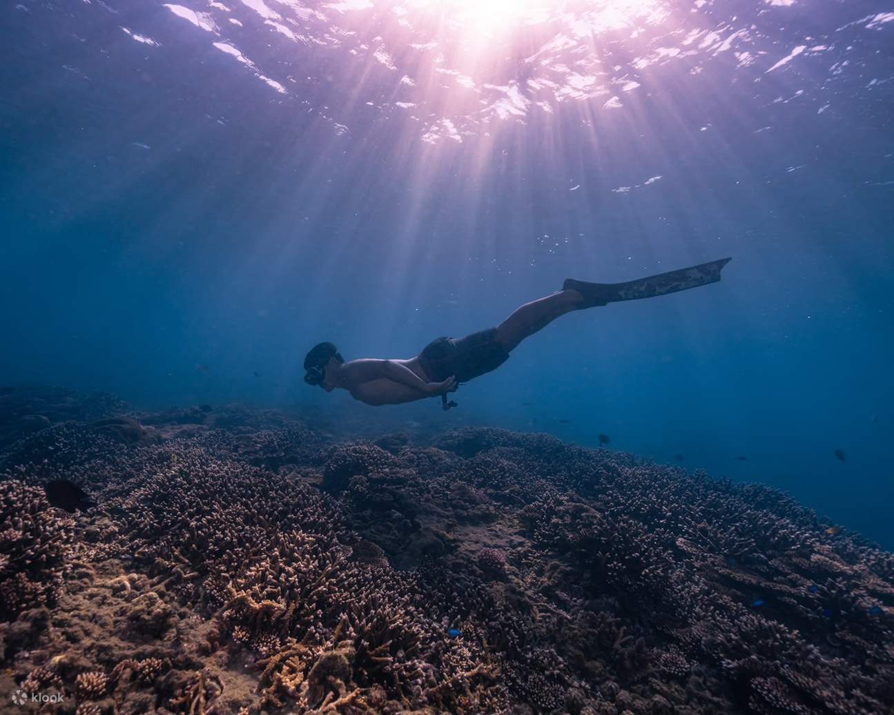 Snorkeling alla cassetta postale sottomarina di Penghu