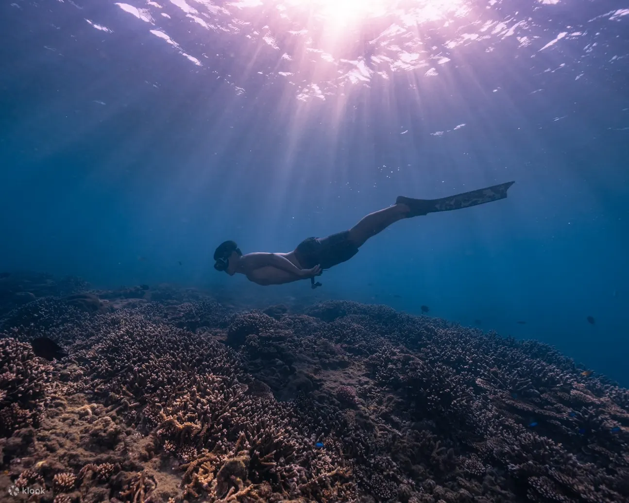 澎湖海底邮筒浮潜