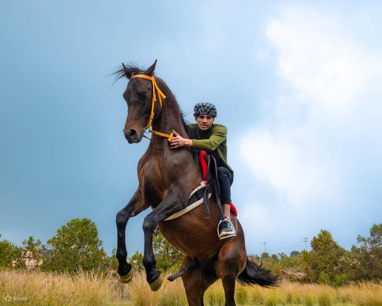Horse Riding Experience Klook