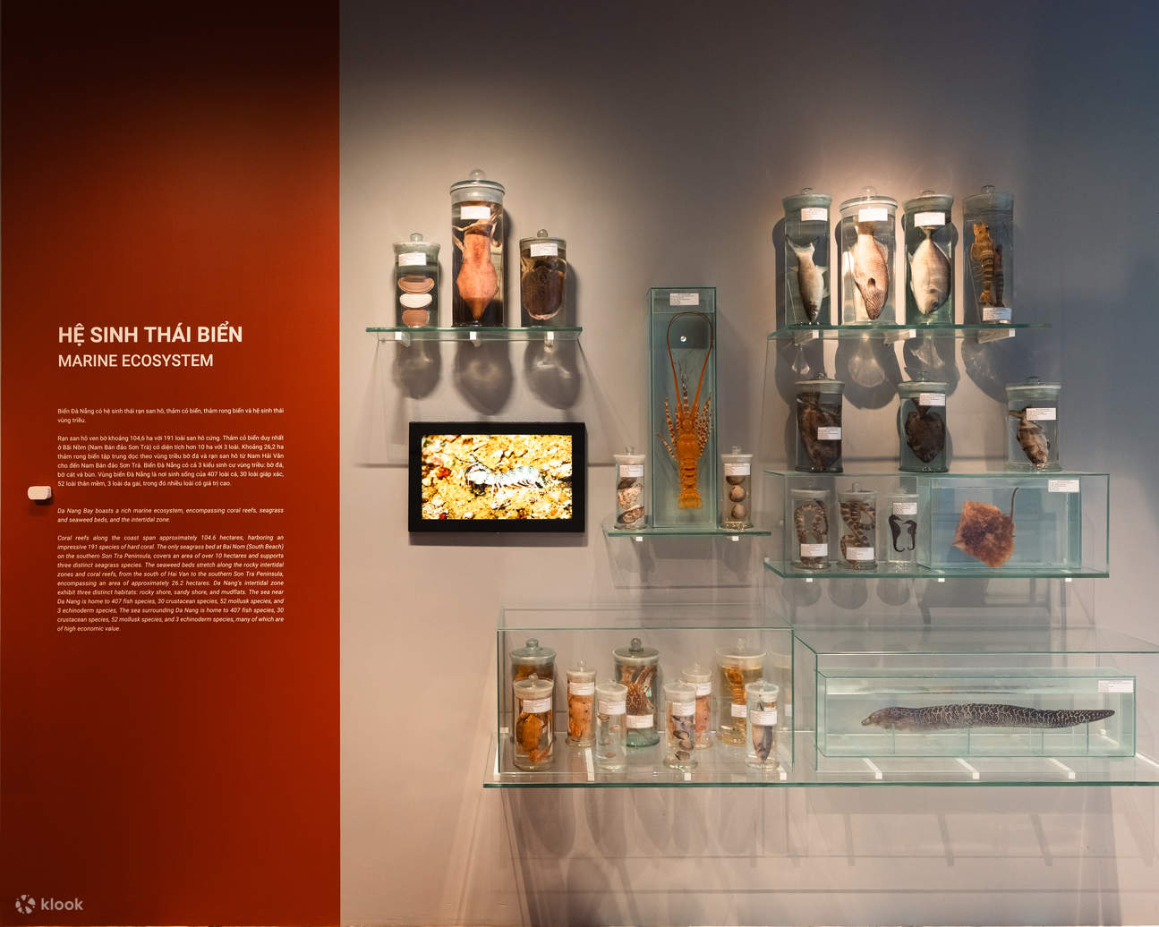 Tiket Da Nang Museum