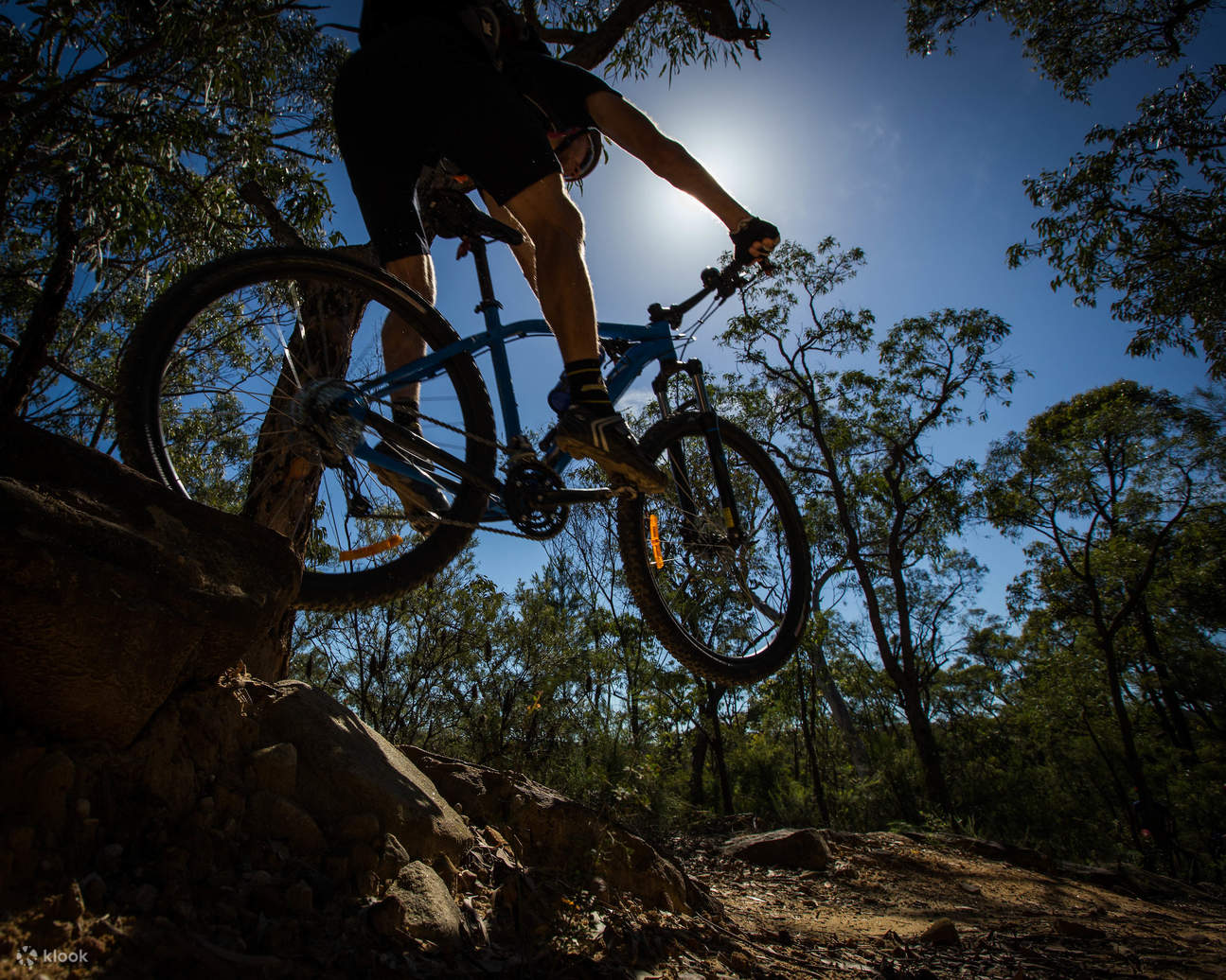 The oaks mtb trail sale