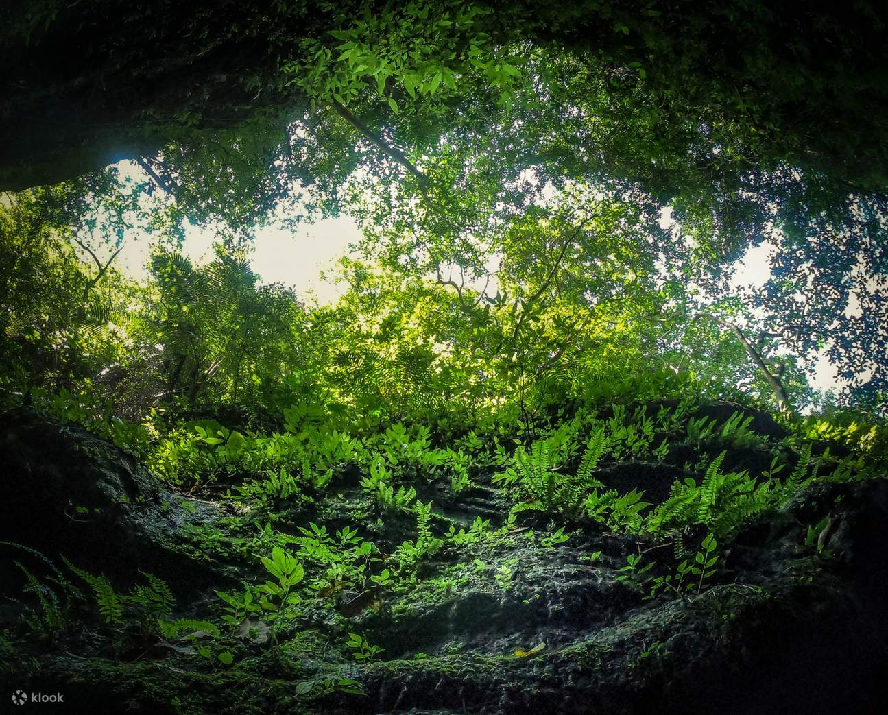 Senderismo en el arroyo Angel