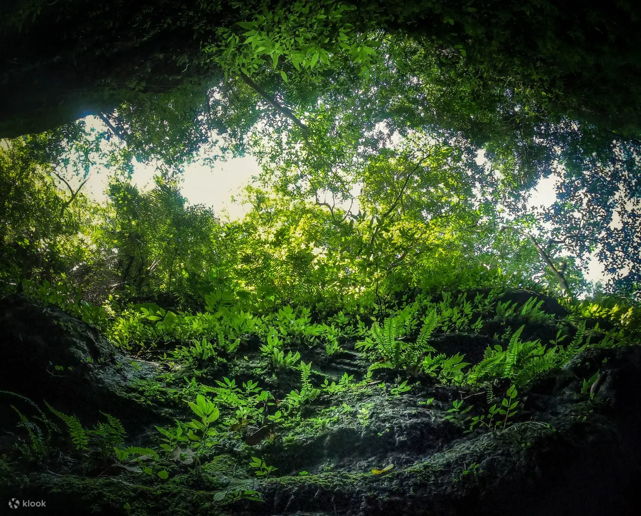 天使溪踏溪