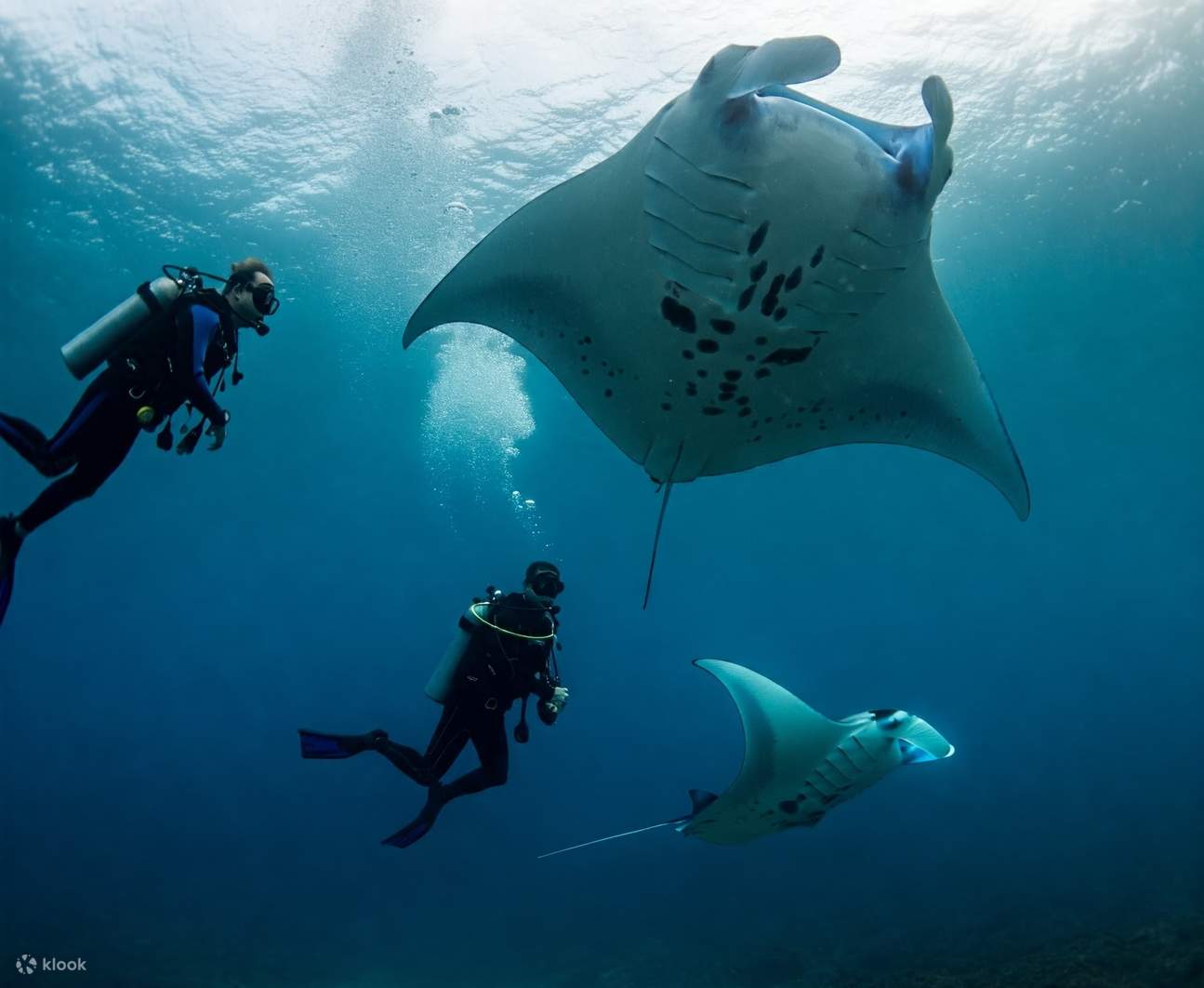 Nusa Penida Speedboat Day Tour And Snorkeling With Manta Rays Klook 