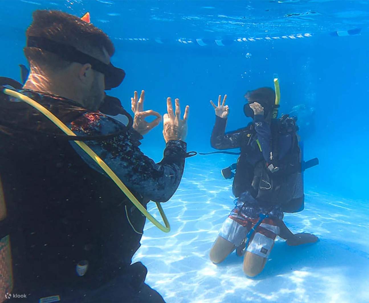 Discover the underwater world: Participants in Key Largo enjoy their first confined water sessions in a comfortable training pool, building confidence and skills.
