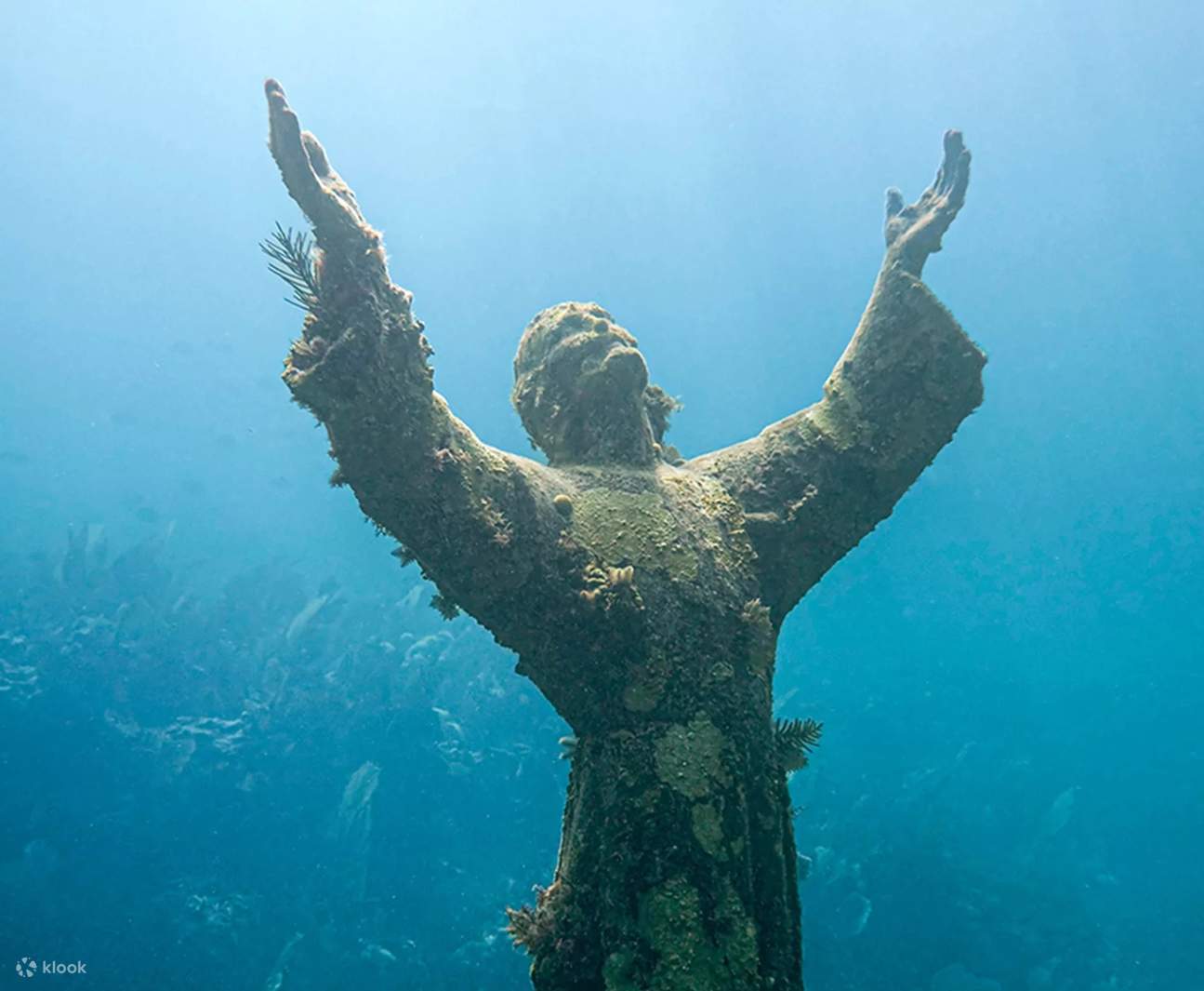 Vivi emozionanti immersioni su relitti nell'ambito del tuo corso di addestramento Advanced Diver a Key Largo