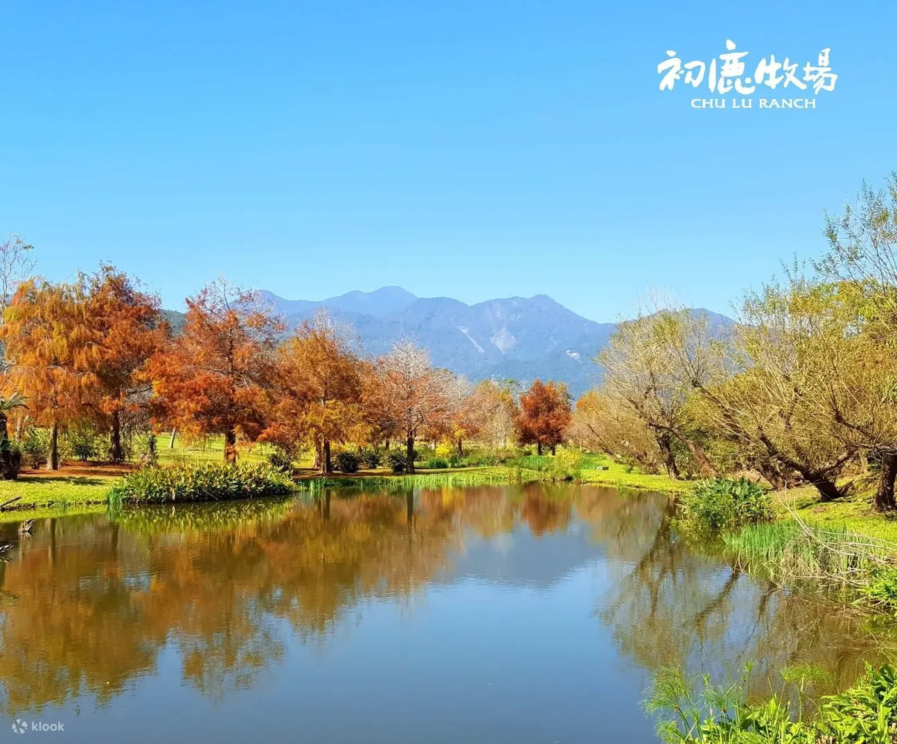 初鹿牧场风景