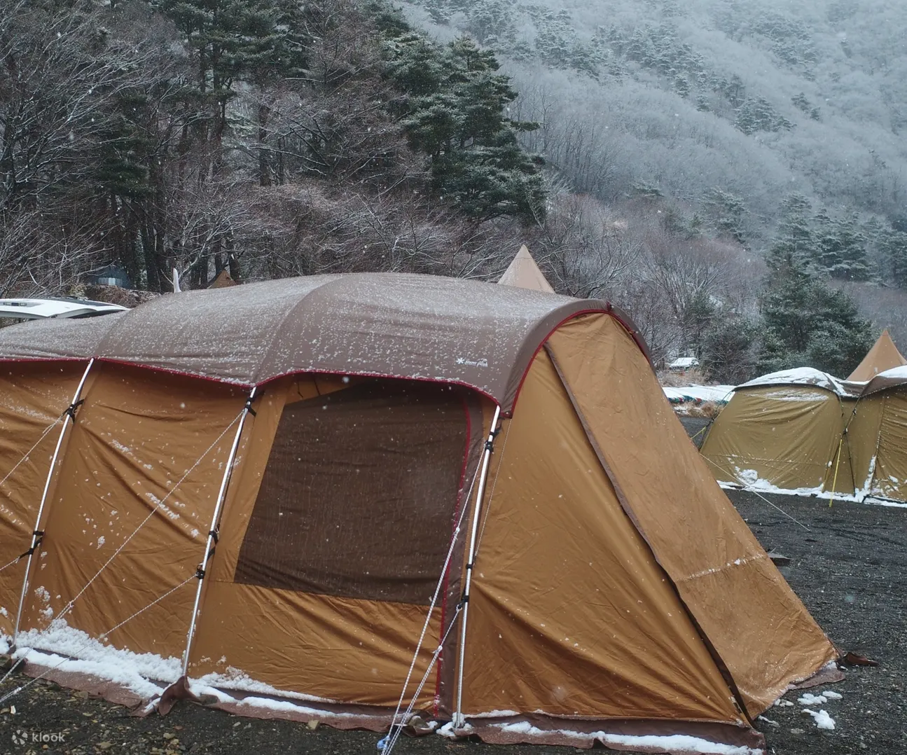 富士山 浩庵露营场 2天1夜 露营体验