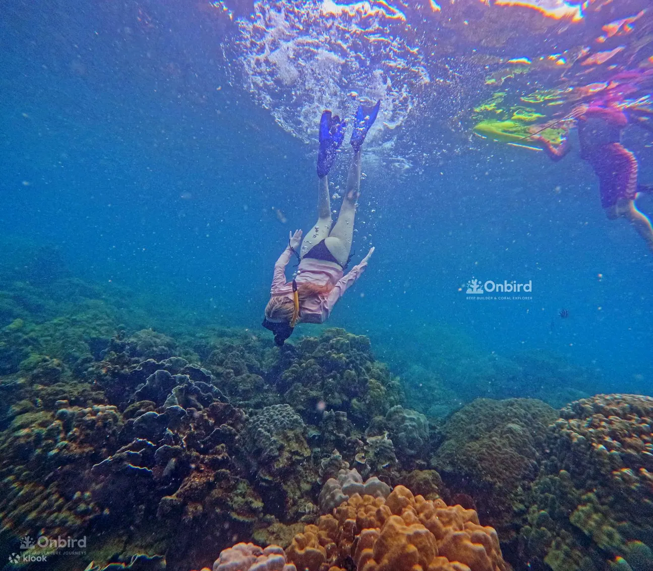 Tour Lặn Biển Nhóm Nhỏ Tại Phú Quốc Bằng Tàu Cao Tốc: Khám Phá Núi San Hô & Rặng san hô Bán Nguyệt