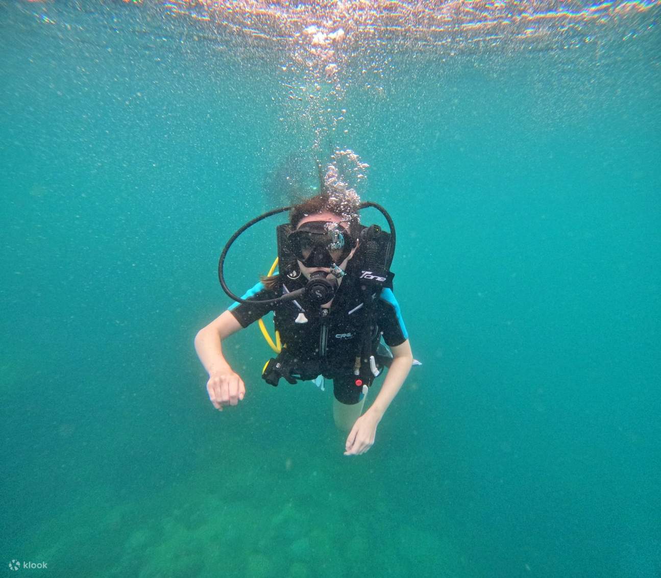 Penyelaman Scuba Penemuan Profesional