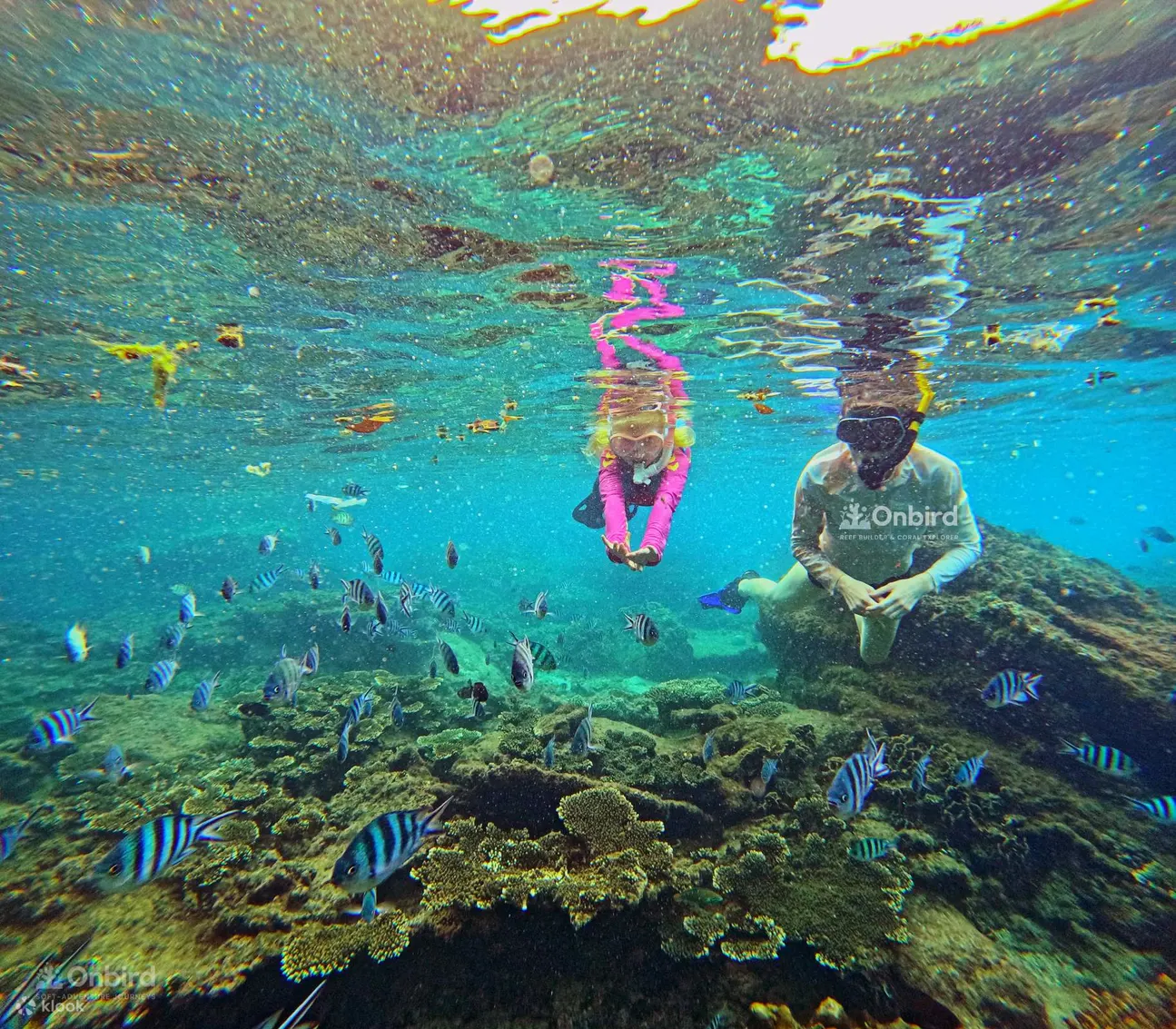 Tour Lặn Biển Nhóm Nhỏ Tại Phú Quốc Bằng Tàu Cao Tốc: Khám Phá Núi San Hô & Rặng san hô Bán Nguyệt