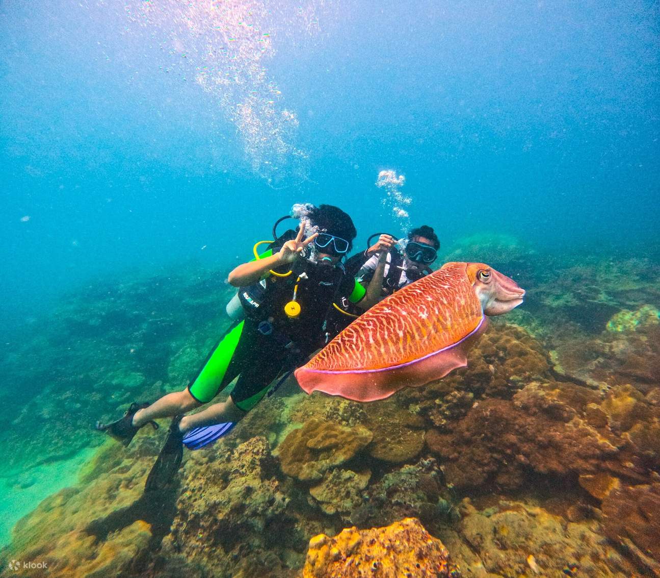 麦通私人岛屿小团潜水体验：半日2潜