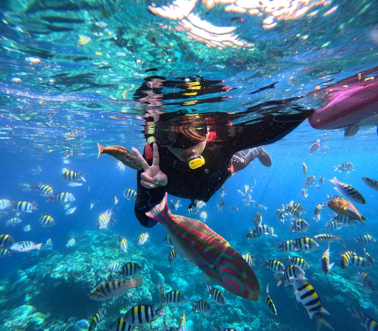 Pagsisid Taitung: Green Island Huwanggiao Snorkeling at Paglalakbay sa Pagsisid ...
