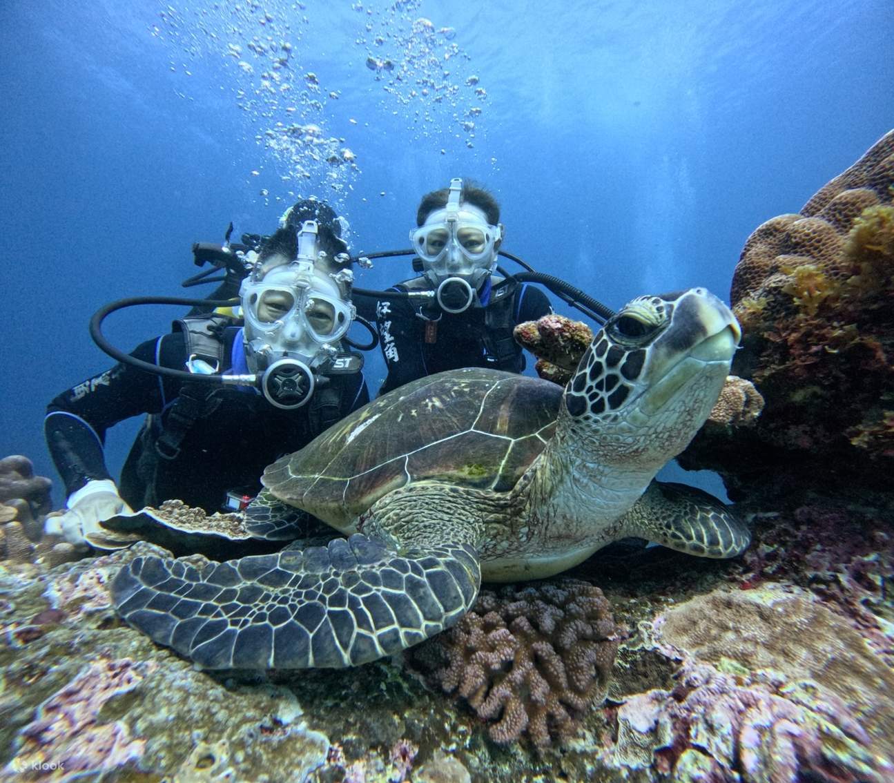 Pagsisid Taitung: Green Island Huwanggiao Snorkeling at Paglalakbay sa Pagsisid ...