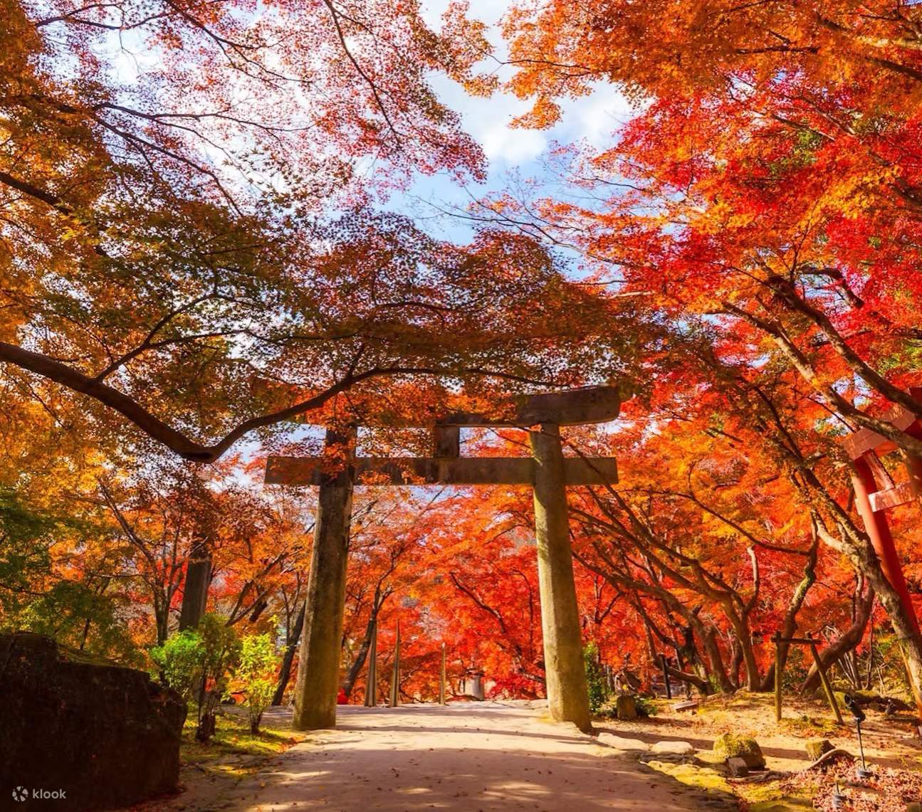 [Autumn Limited] Kyushu Beppu Fall Color Viewing Day Tour｜Kamado Shrine ...