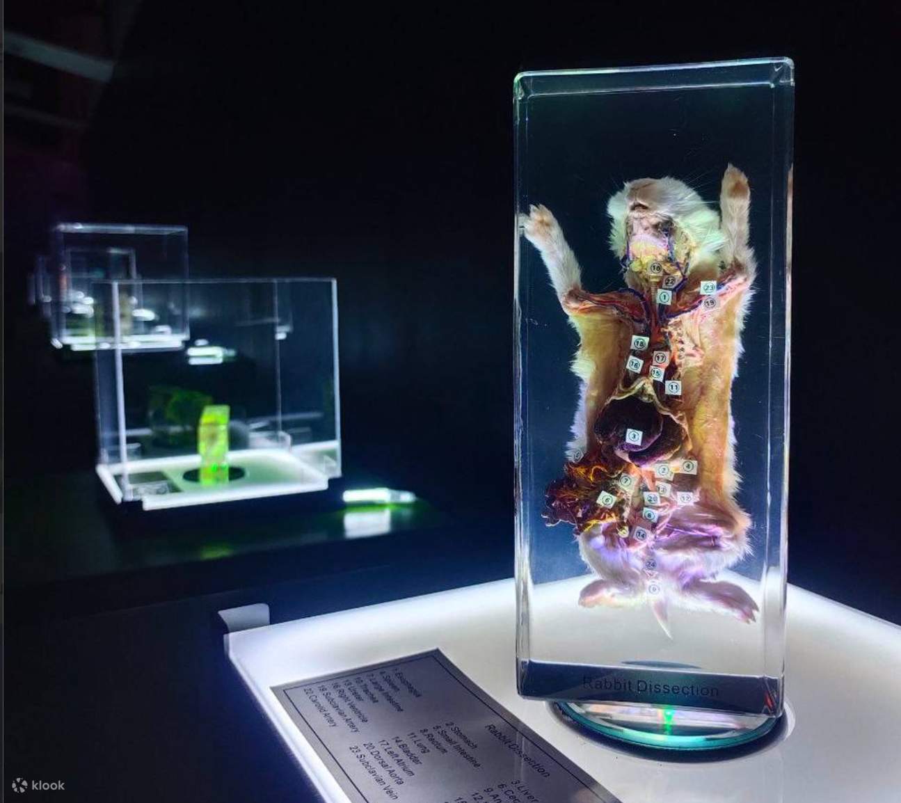 Vé Science XP ở Cebu