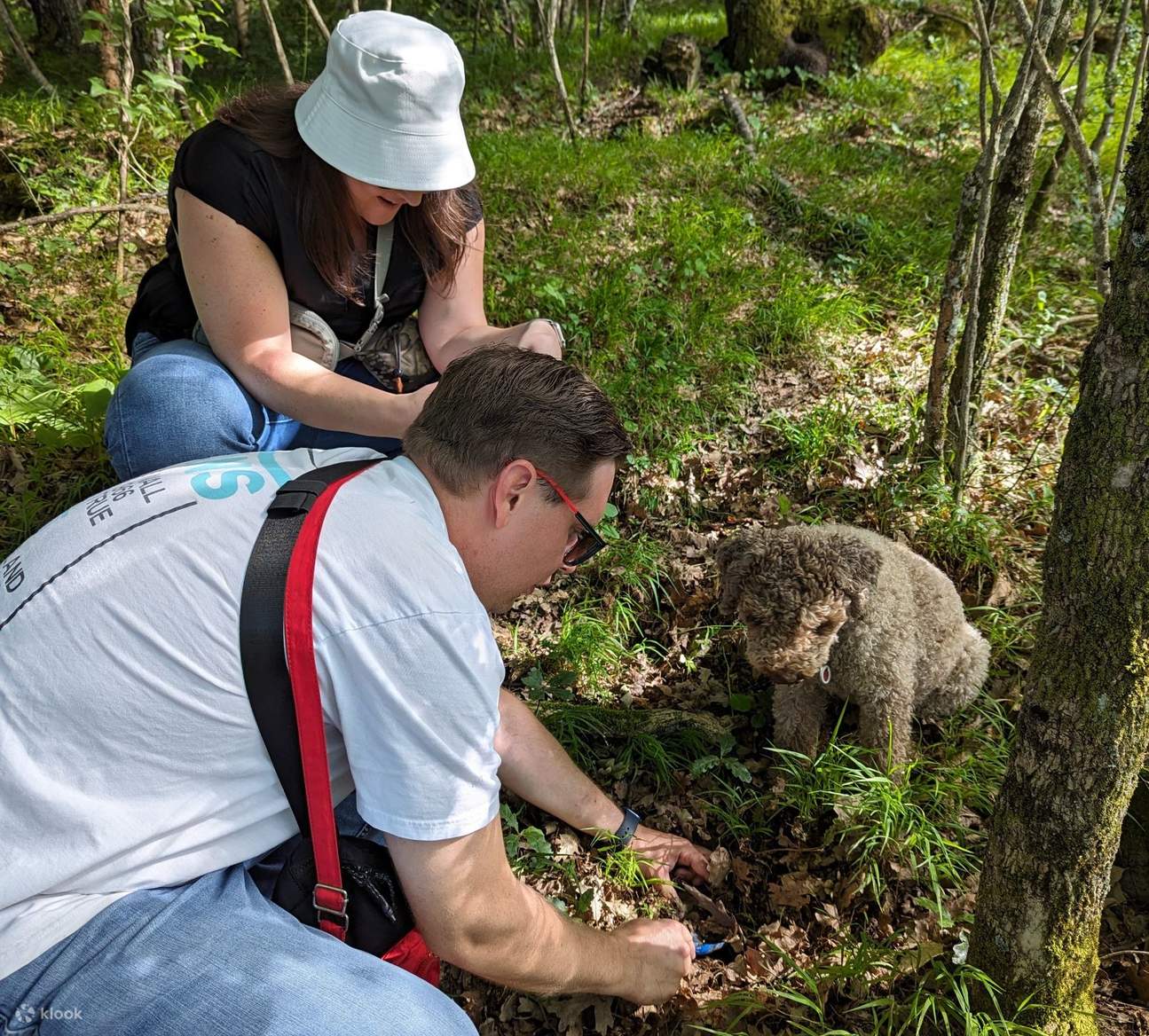 在从五渔村到帕尔马的半路上享用午餐/晚餐的松露狩猎之旅