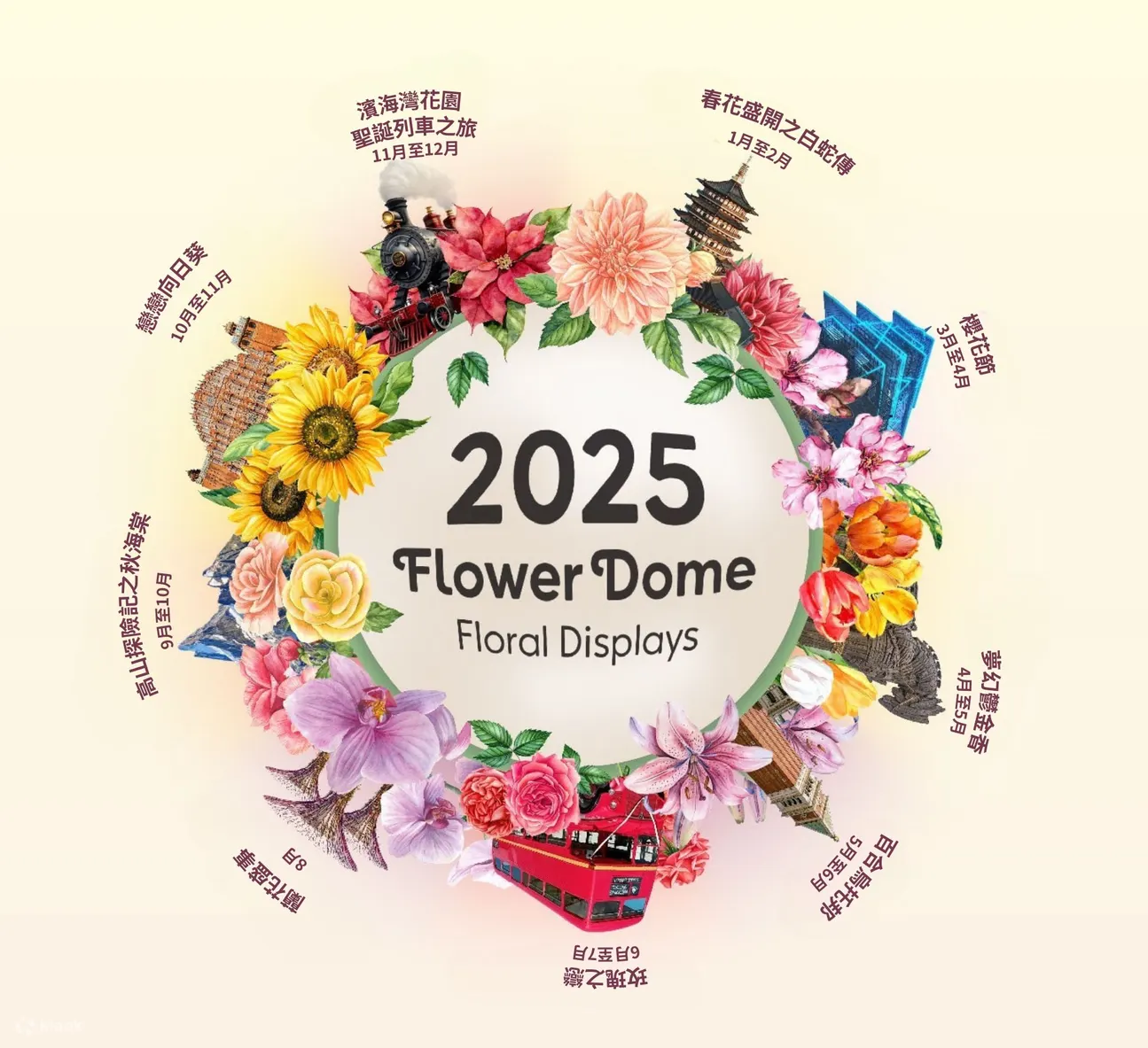 2025花穹